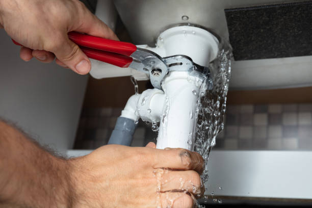 Best Flooded house restoration  in Cumming, GA