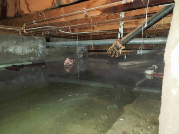 Water damage restoration process in Cumming, GA