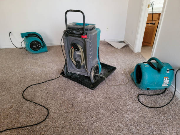Best Local water damage restoration  in Cumming, GA