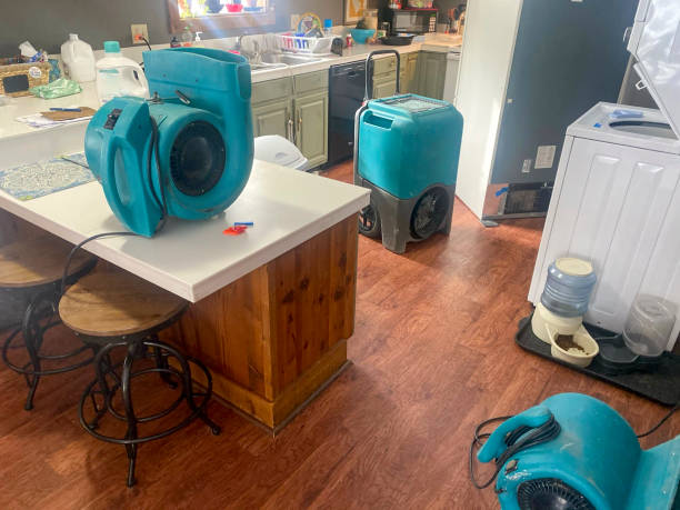 Best Sewage cleanup and water damage restoration  in Cumming, GA