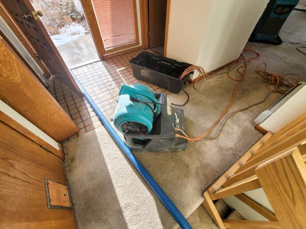 Best Water damage restoration specialists  in Cumming, GA
