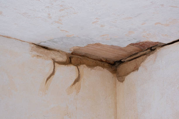 Best Mold removal after water damage  in Cumming, GA
