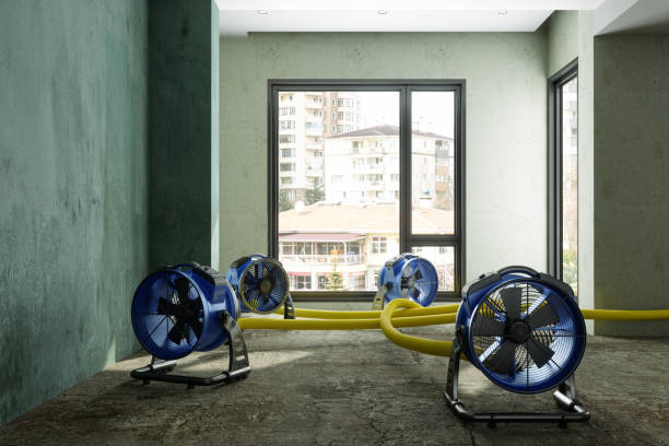 Best Local water damage restoration  in Cumming, GA